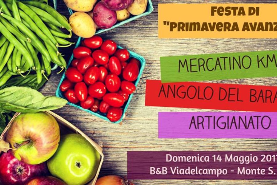 4° Mercatino e Festa Primavera Avanzata